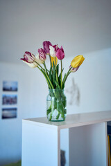  bouquet of multicolored tulips in a transparent jar in the interior