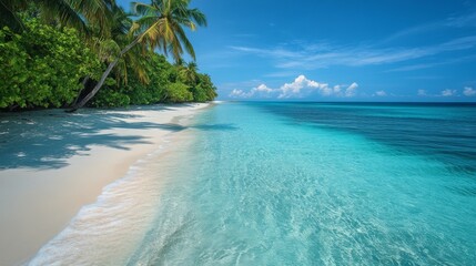 Tranquil Tropical Beach with Palm Trees and Crystal Clear Water