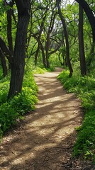 A serene path winding through a lush green forest filled with trees and plants.