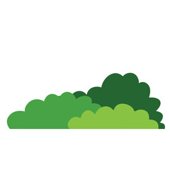 Green bush on white background. Vector illustration