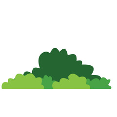 Green bush on white background. Vector illustration