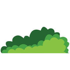 Green bush on white background. Vector illustration