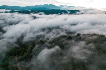 Aerial view of fog and morning sky from drone