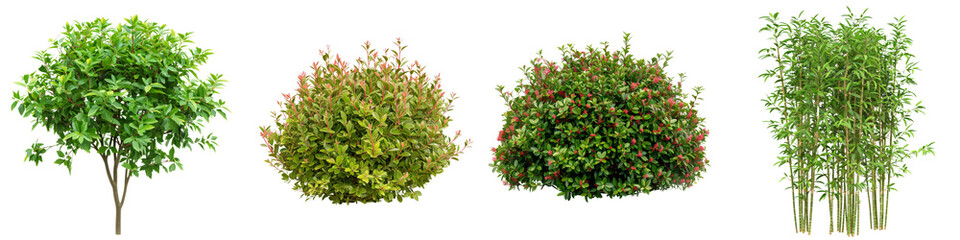 Obraz premium Diverse array of lush vibrant green foliage and plants flourishing in a natural outdoor environment Healthy thriving vegetation in a serene peaceful setting