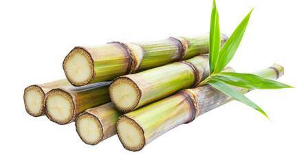 Bambus Pile of green sugar cane isolated on white background