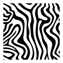 zebra skin texture © Maria