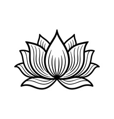 illustration of lotus