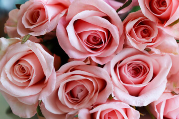 delicate bouquet of pink roses. wedding bouquet
