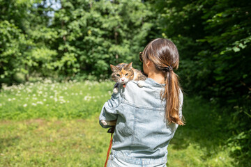 Woman pet sitter hugging embracing tabby cat strolling outdoors in summer day, rear view. Female owner and pet sitting on shoulder wandering in public park, enjoying fresh air, warm sunny weather.