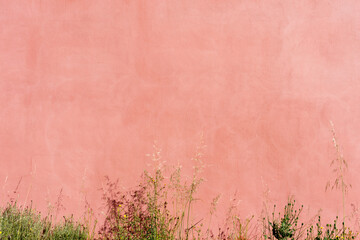 A minimalistic scene featuring a soft pink stucco wall with delicate blades of grass growing in front. Ideal for abstract, background, or lifestyle visuals.