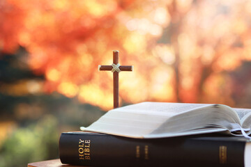 Holy Cross of Jesus Christ and Bible, Autumn landscape with light shining through red maple leaves...