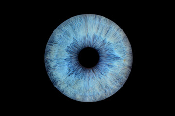 Close up of eye iris on black background, macro, photography	