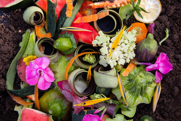 Vegetable and fruit waste from cooking on the ground. Compost. The concept of 