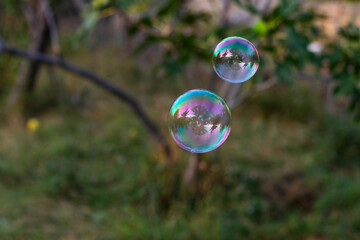 Soap bubbles in yard