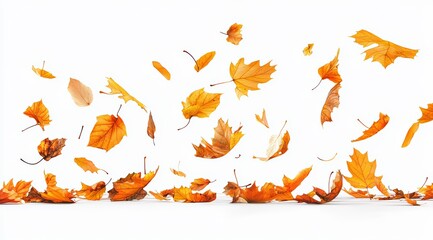 Obraz premium Dried Maple Leaves Falling on the Ground