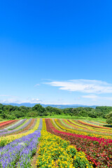 宮城　初秋 やくらいガーデン
