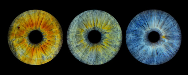 Close up of eye iris on black background, macro, photography	