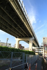 多摩川の河川敷から見る二子玉川駅周辺の風景