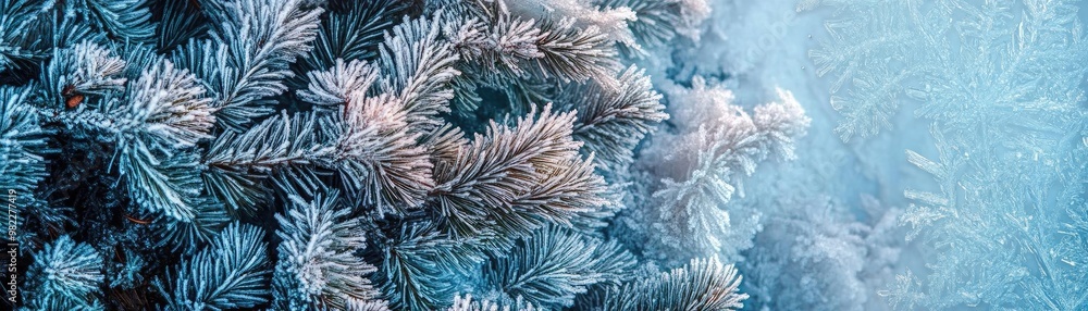 Poster a close-up view of frosted evergreen branches, showcasing intricate ice crystals and a serene winter