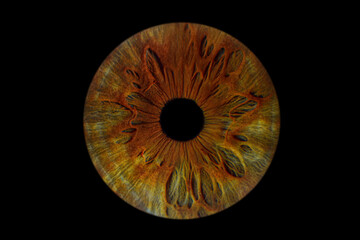 Close up of eye iris on black background, macro, photography	
