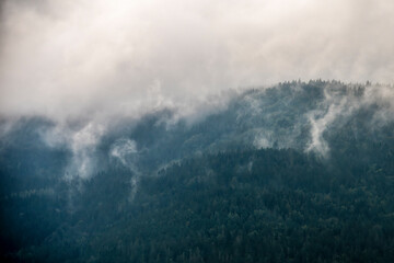 Montagnes recouvertes de sapin dans les Vosges au milieu du brouillard et des nuages