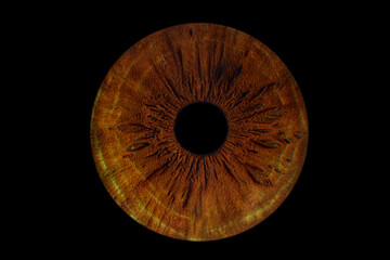 Close up of eye iris on black background, macro, photography	