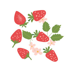 Hand drawn abstract strawberry plant set. Whole fruit, slices, pieces and leaves, flowers. Can used for posters, labels, patterns.