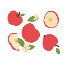 Hand drawn abstract apple fruit plant set. Whole fruit, slices, pieces and leaves, flowers. Can used for posters, labels, patterns.