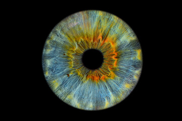 Close up of eye iris on black background, macro, photography	