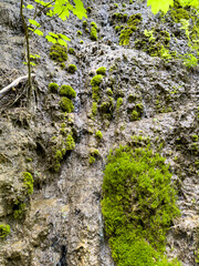 The river runs along the rocky cliffs in the mountains