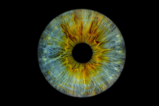 Close up of eye iris on black background, macro, photography	