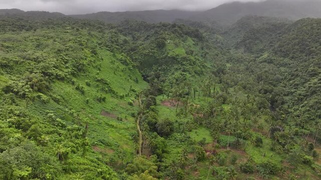 Flying Above Coastal Jungle At Bouma National Heritage Park On Taveuni Island In Fiji. aerial shot