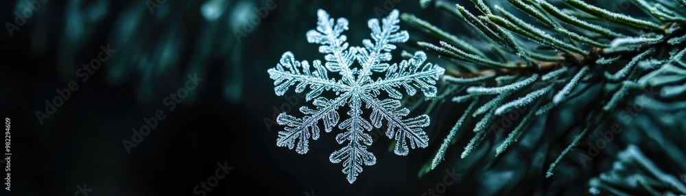 Poster a delicate snowflake resting on a pine needle, showcasing intricate patterns and the beauty of winte