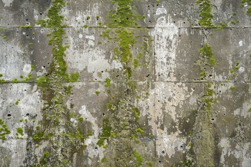 Photo of Old dirty gritty mossed concrete wall. Background texture for backdrops or mapping