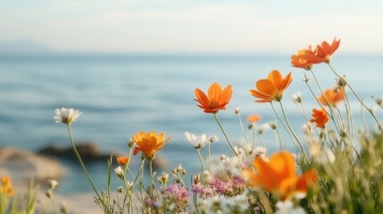 Obraz premium Beautiful blooming flowers facing the sea and sunlight