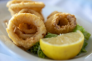 deep fried calamari dish on white background