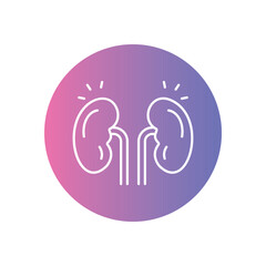 Kidney vector icon stock illustration