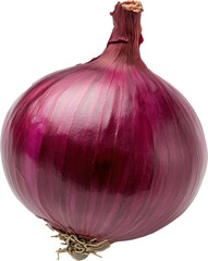 A large red onion with a stem