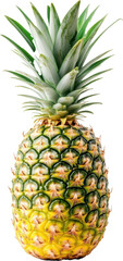 Fototapeta premium A large pineapple is shown on a white background