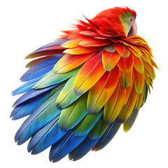 Obraz premium Scarlet Macaw Feathers - Colorful Bird Plumage Isolated on White Background, parrot, tropical, bird feather, wildlife