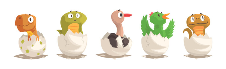 Chicks and Reptiles Hatch from Cracked Egg Shell Vector Set