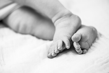 Close-up sur des tout petits pieds de b&eacute;b&eacute; nouveau n&eacute;