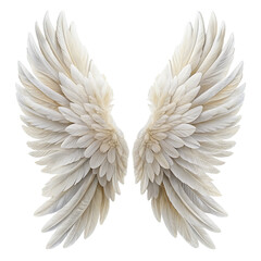 Fototapeta premium White angel wing isolated on transparent background.
