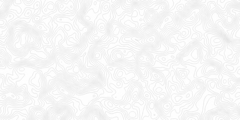 Abstract background vector. Abstract topographic contours map background. Abstract white pattern topography vector background. Black and white topography contour line map isolated on white background.