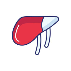 Liver vector icon stock illustration