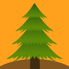 Detailed Big Pine Tree Green Pinus on Orange Background