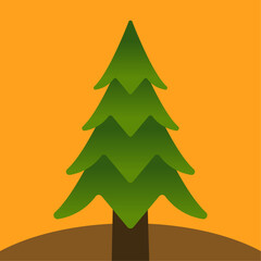 Pine Tree Pinus with Snow for Winter Season on Blue Background - Copy