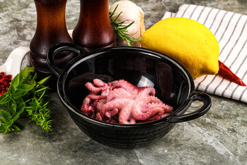 Marinated baby octopus snack appetizer