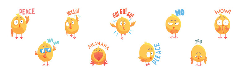 Baby Chick Say Word with Emotion and Inscription Vector Set