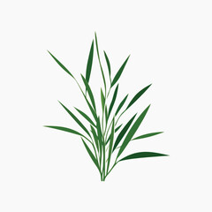 Fototapeta premium Minimalist green plant illustration